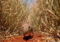 $(缶k}S?{???!!4杅0鼩??l?8朥O迓?埯V琖Ч蕪v缯(熟猀;芝P契釁憚楛P狥梛:|脙崩?酉阊eDPCZ凌樔憤??mO鈏B玬?Y?bu5V栰埅开妥F@G鰗U?=.犧1€?ls?8OM匩瘯霹的简单介绍